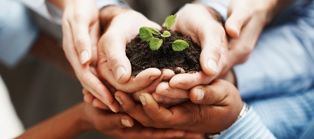 Become LEED Accredited!